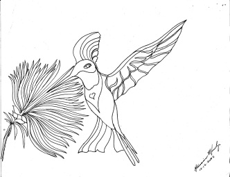 Hummingbird and flower ink drawing